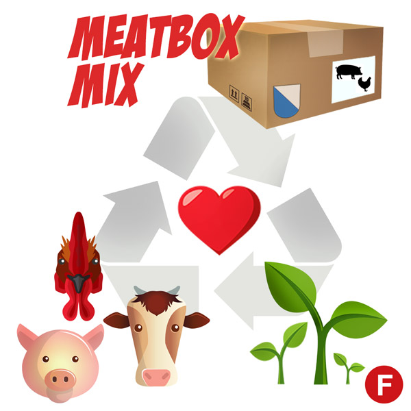 Meatbox-mix-square-journey-fuster